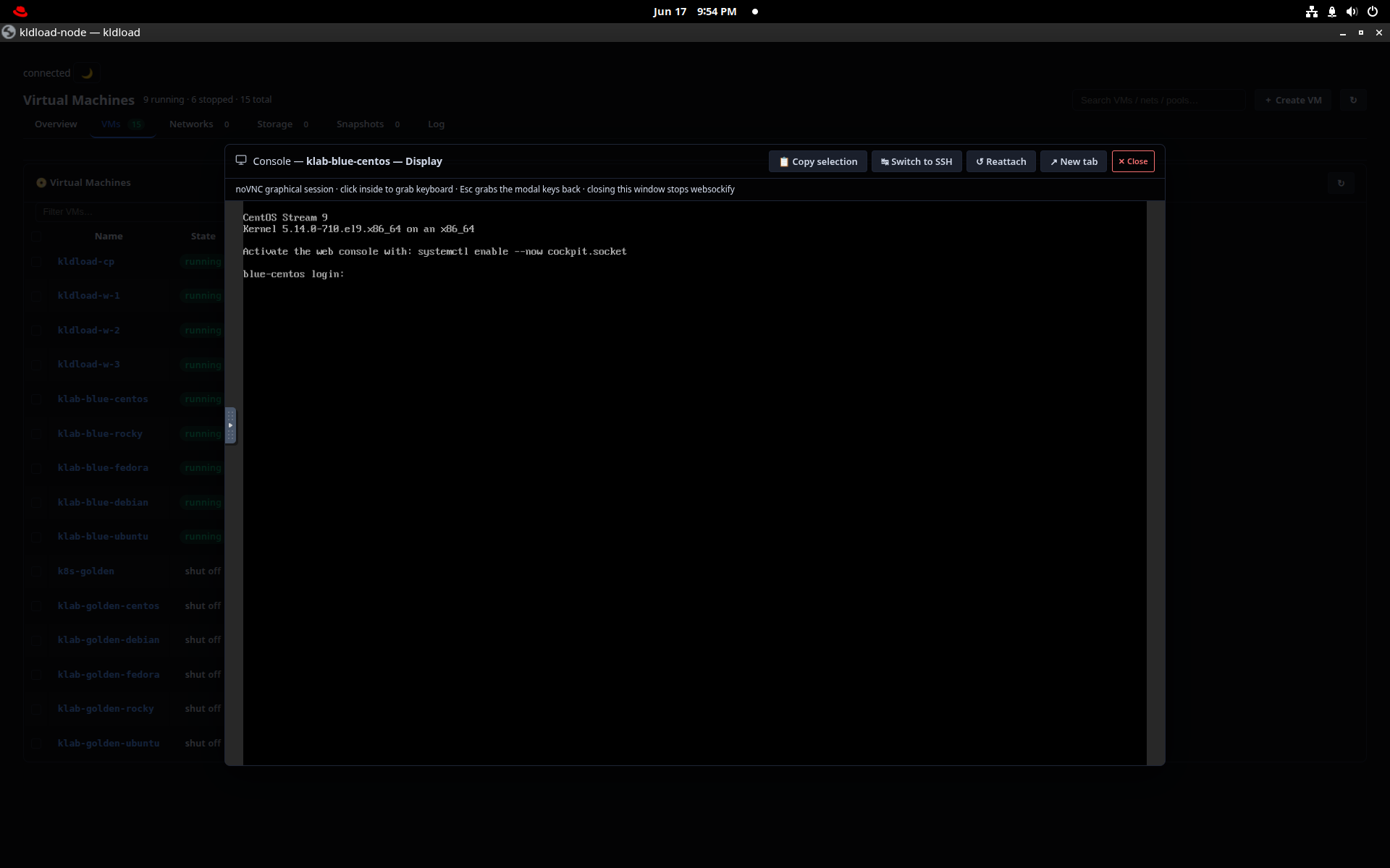 VM serial console embedded in the web UI